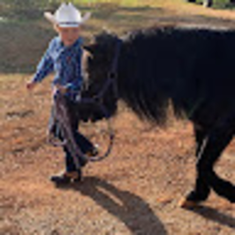 Meet your Posher, Graceon